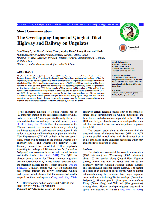 The Overlapping Impact of Qinghai-Tibet  Highway and Railway on Ungulates