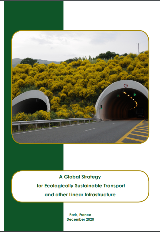 A Global Strategy For Sustainable Transport