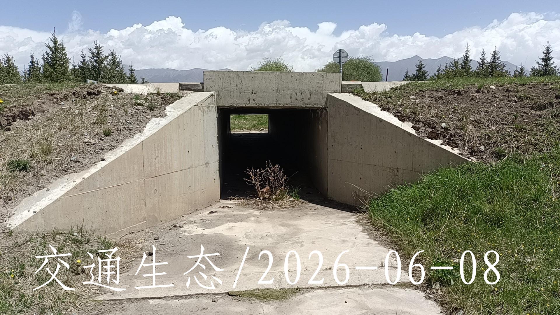 后像