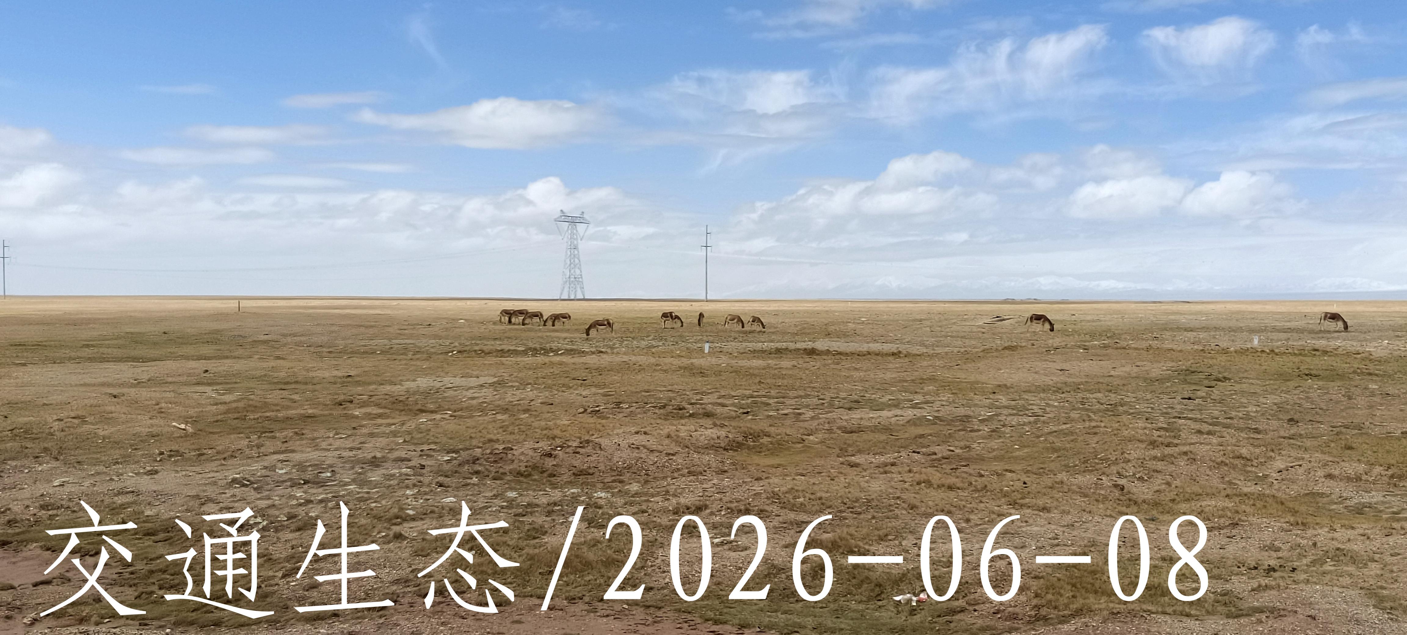 后像