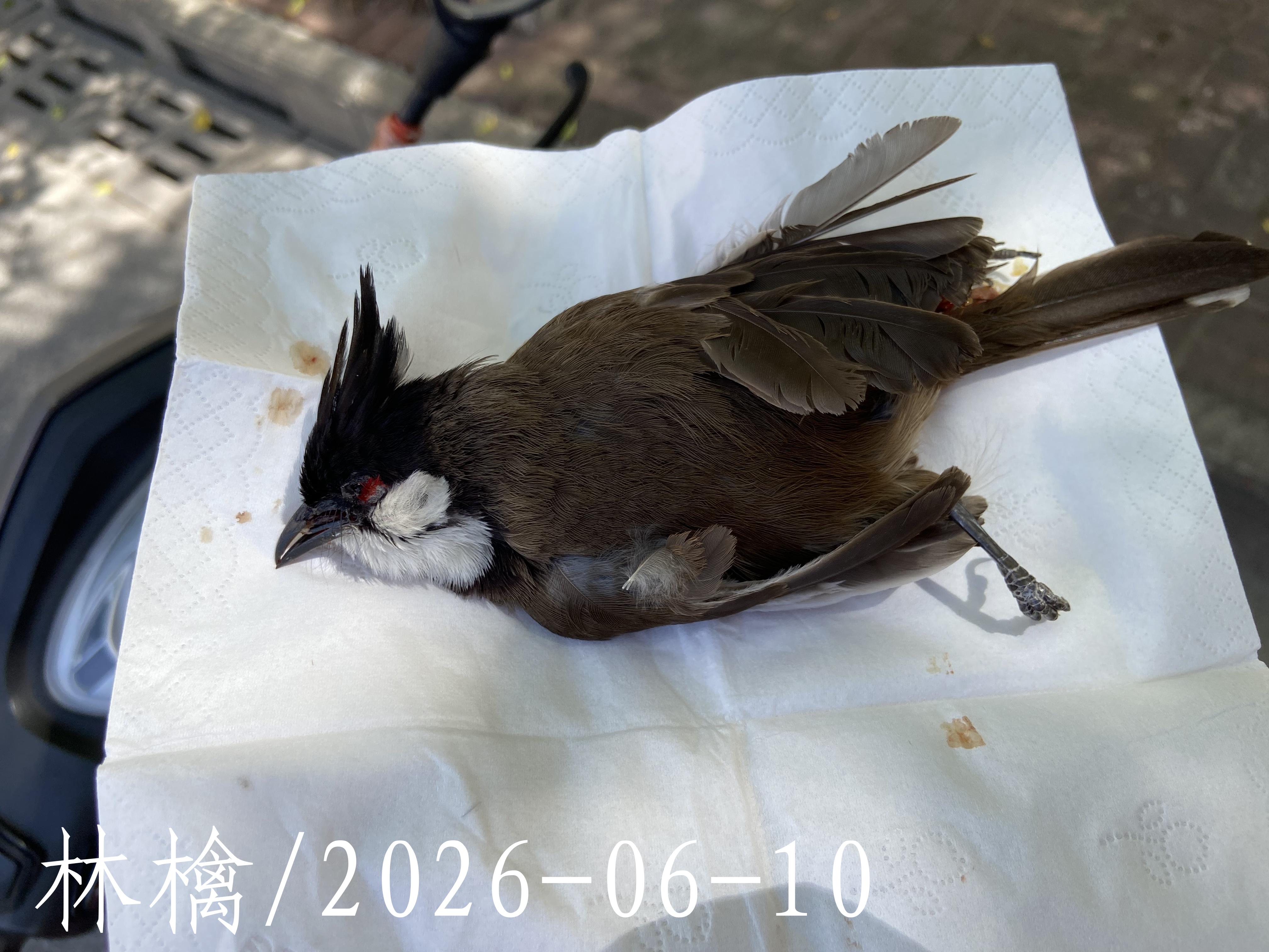 后像