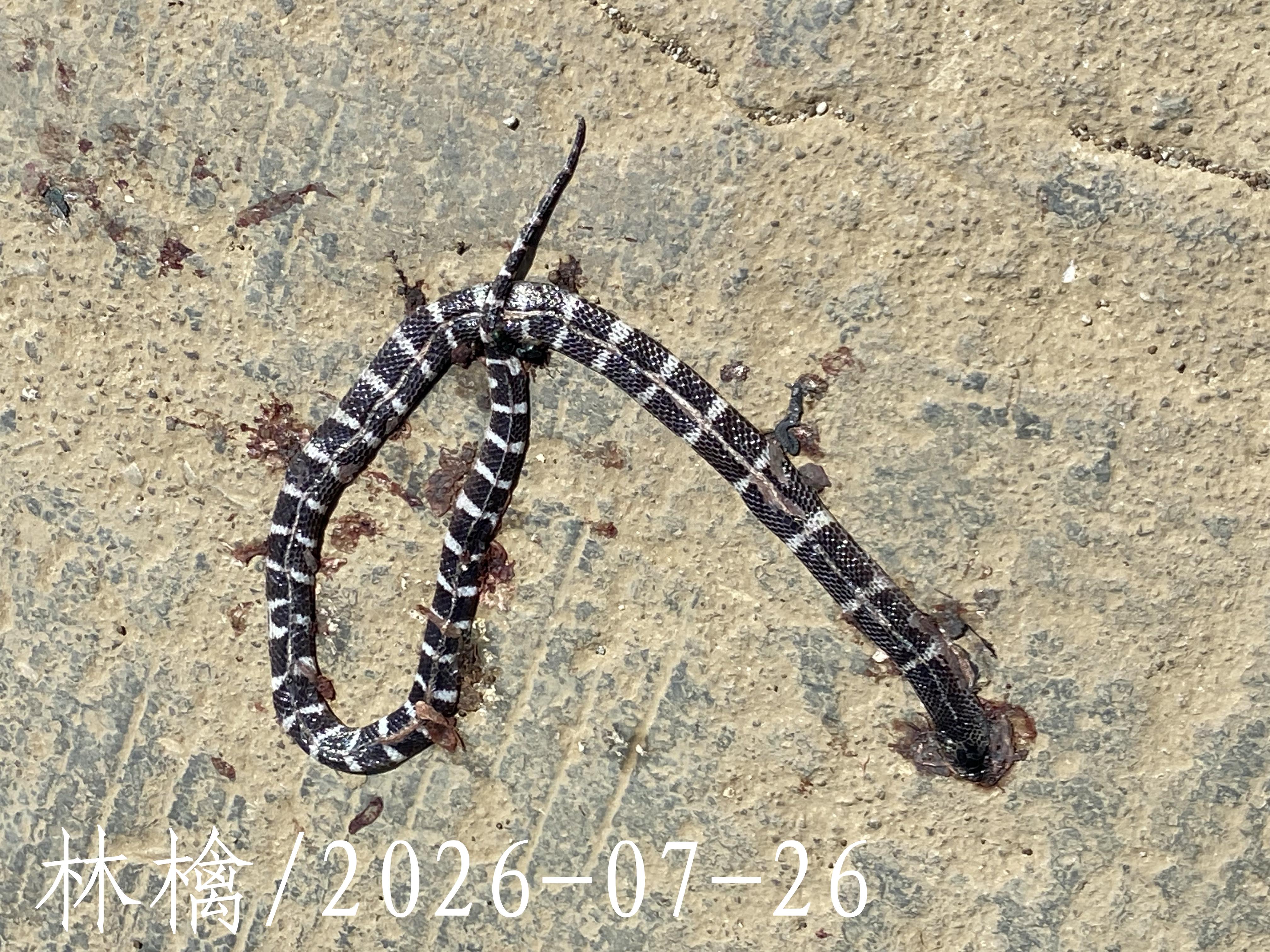 后像