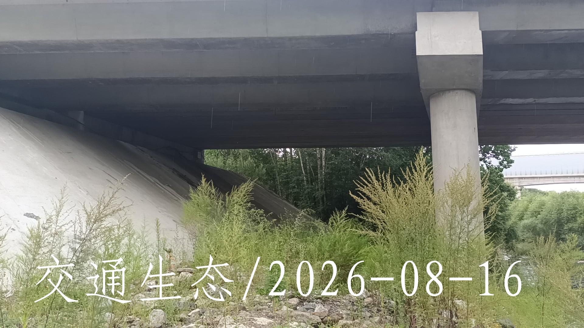 后像